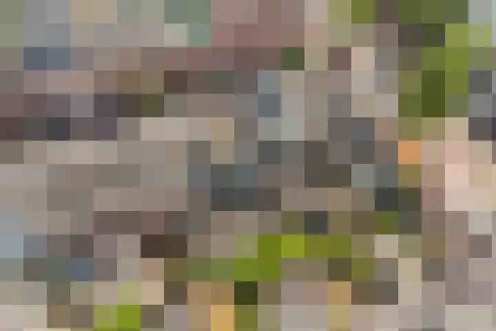 Daendelsstraat 67 Utrecht thumbnail 36