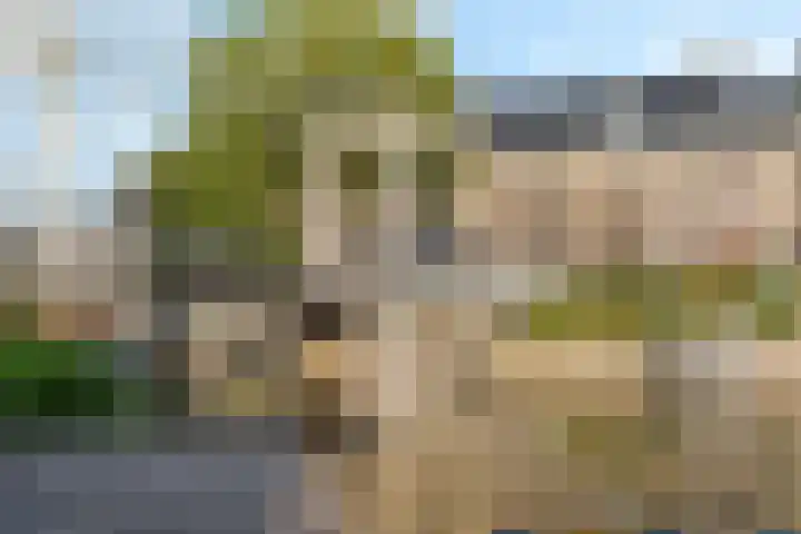 Daendelsstraat 67 Utrecht thumbnail 38