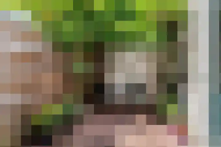Daendelsstraat 67 Utrecht thumbnail 4