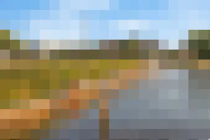 Daendelsstraat 67 Utrecht thumbnail 41