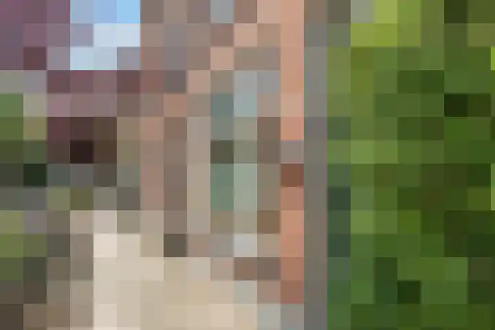 Daendelsstraat 67 Utrecht thumbnail 7