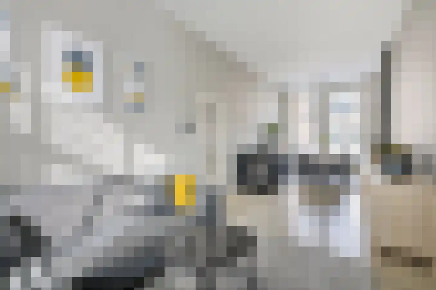 Daendelsstraat 7 BS Utrecht thumbnail 6