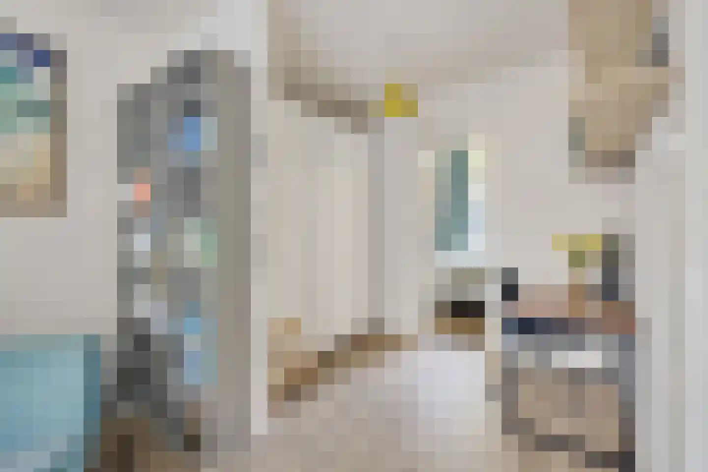 Daendelsstraat 7 Utrecht thumbnail 13