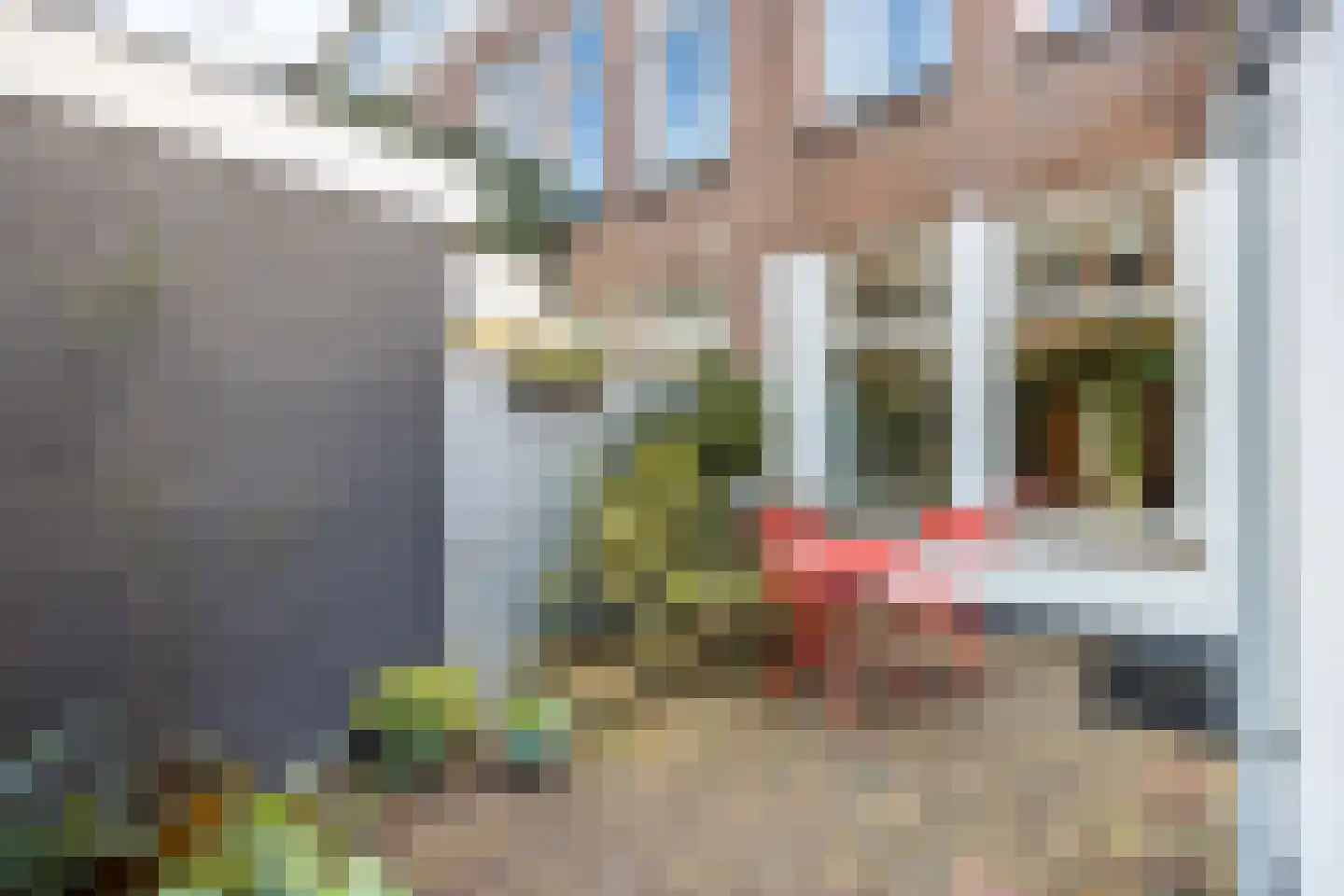 Daendelsstraat 7 Utrecht thumbnail 22