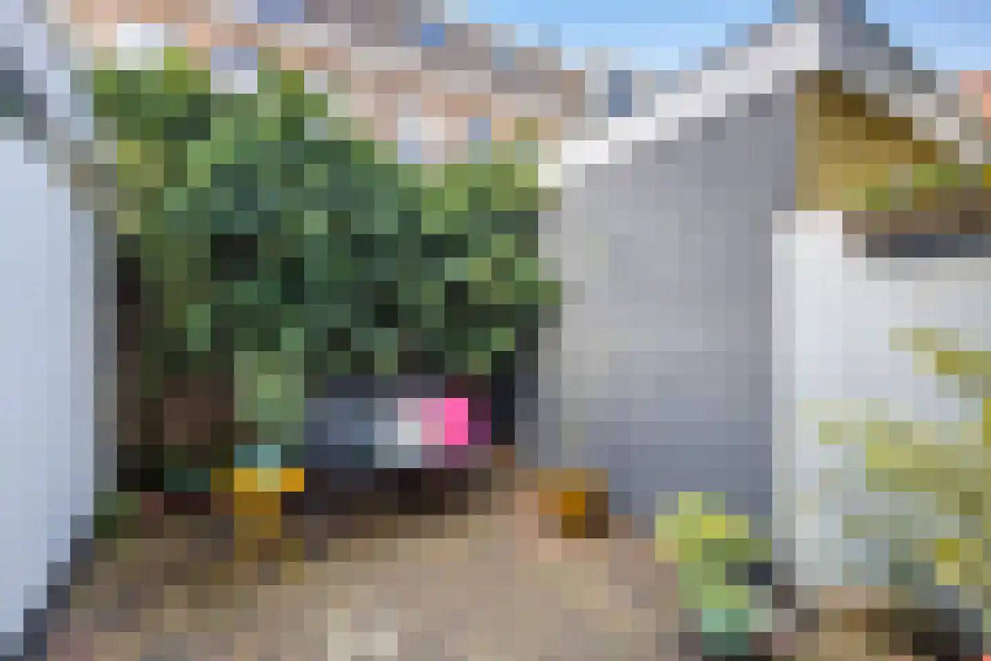 Daendelsstraat 7 Utrecht thumbnail 23