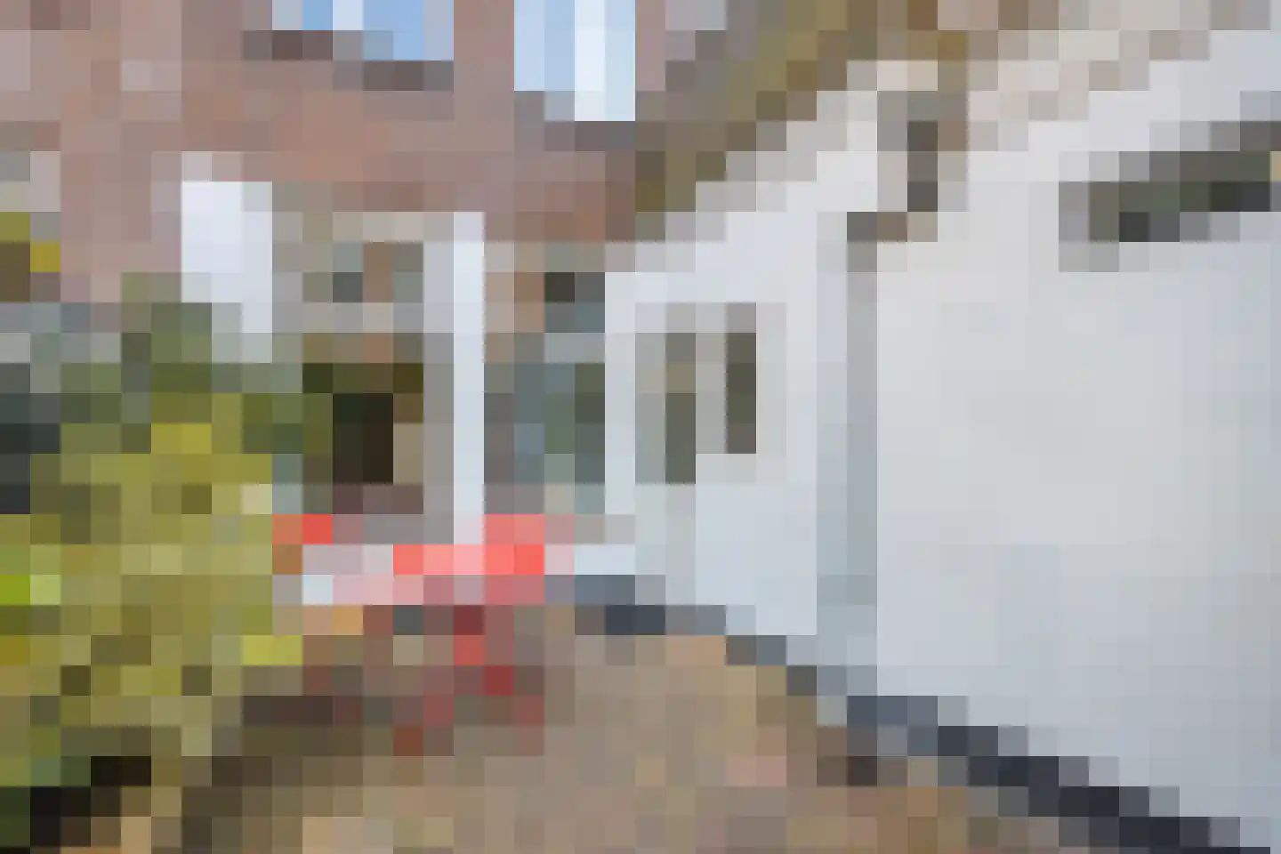 Daendelsstraat 7 Utrecht thumbnail 24