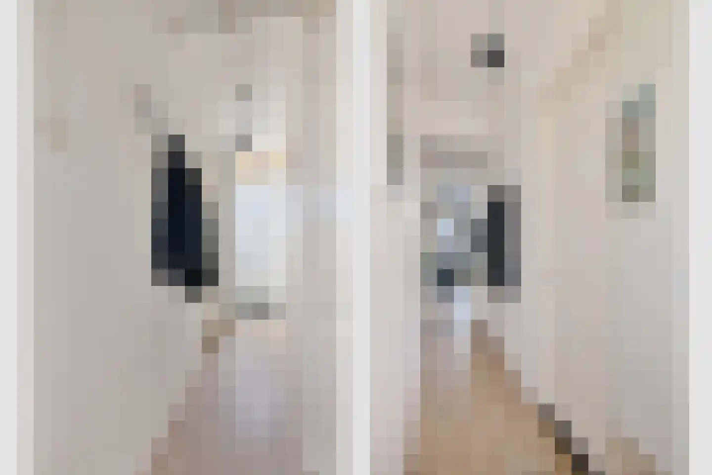 Daendelsstraat 7 Utrecht thumbnail 5
