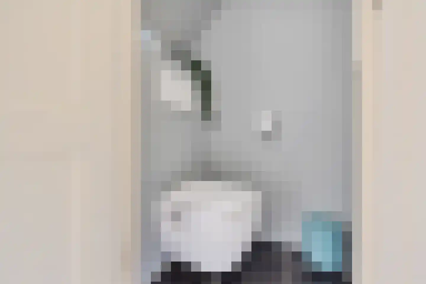 Daendelsstraat 7 Utrecht thumbnail 6