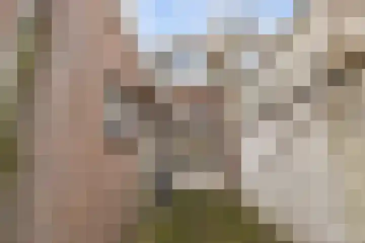 Daendelsstraat 71 Utrecht thumbnail 16