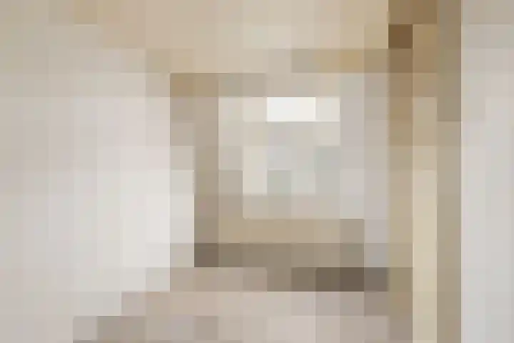 Daendelsstraat 71 Utrecht thumbnail 22