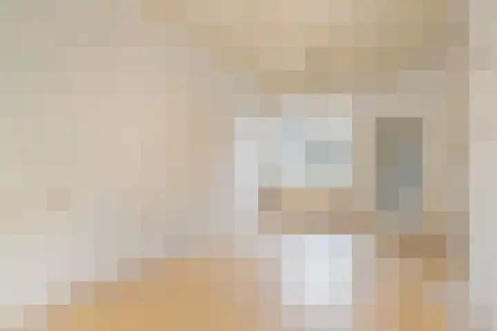 Daendelsstraat 71 Utrecht thumbnail 8