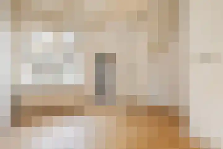Daendelsstraat 71 Utrecht thumbnail 9