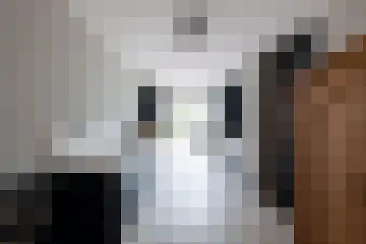 Dag Hammarskjöldlaan 18 Hellevoetsluis thumbnail 10