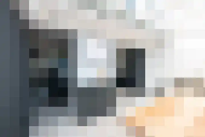 Dag Hammarskjöldlaan 18 Hellevoetsluis thumbnail 15