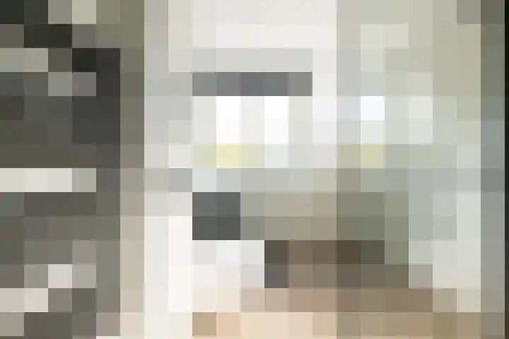 Dag Hammarskjöldlaan 18 Hellevoetsluis thumbnail 21