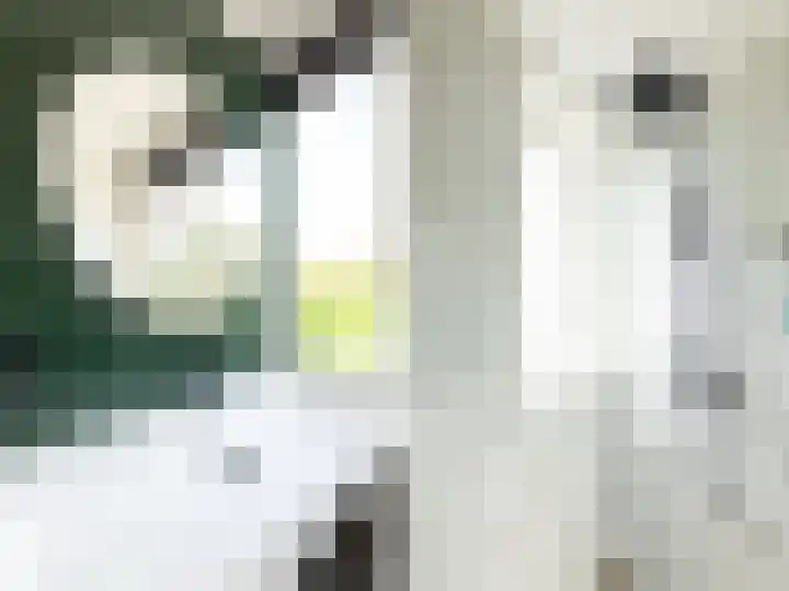 Dag Hammarskjöldlaan 18 Hellevoetsluis thumbnail 22
