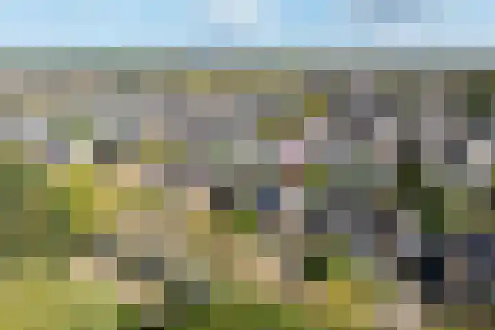 Dag Hammarskjöldlaan 18 Hellevoetsluis thumbnail 38