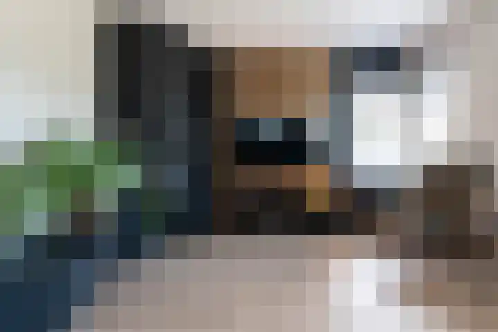 Dag Hammarskjöldlaan 18 Hellevoetsluis thumbnail 6