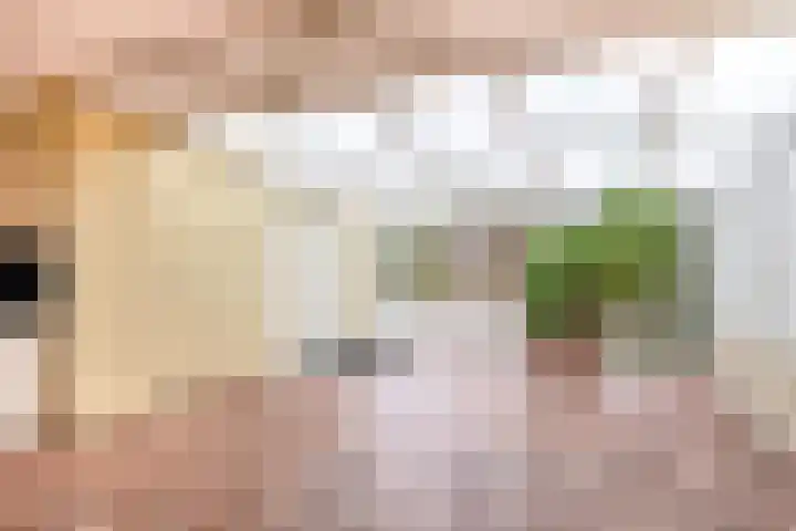 Dag Hammarskjöldlaan 20 Hellevoetsluis thumbnail 15