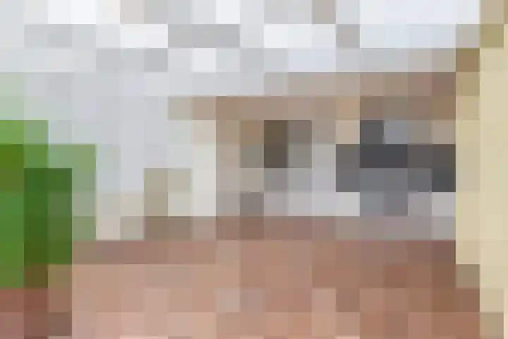 Dag Hammarskjöldlaan 20 Hellevoetsluis thumbnail 19