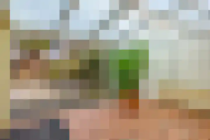 Dag Hammarskjöldlaan 20 Hellevoetsluis thumbnail 20