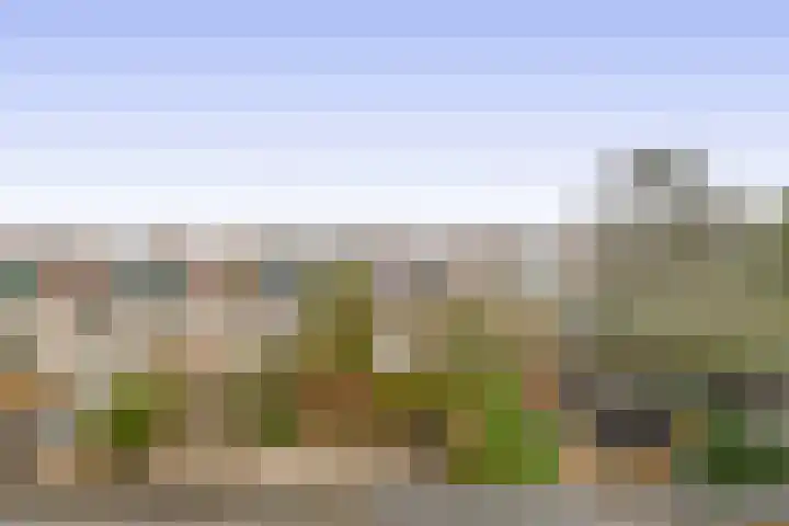 Dag Hammarskjöldlaan 20 Hellevoetsluis thumbnail 31