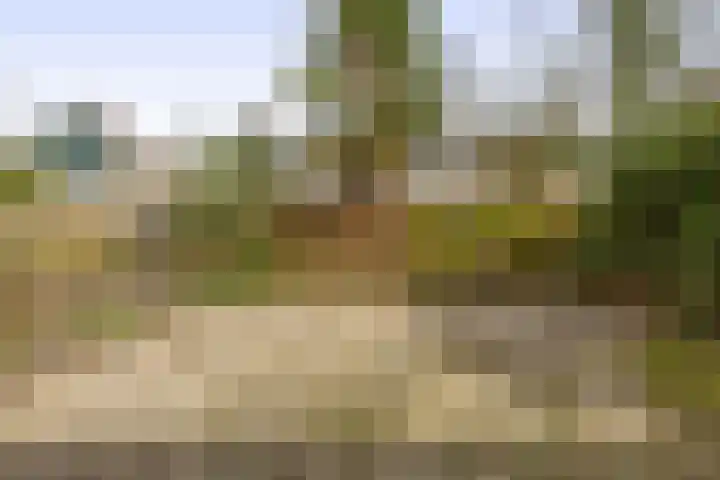 Dag Hammarskjöldlaan 20 Hellevoetsluis thumbnail 33