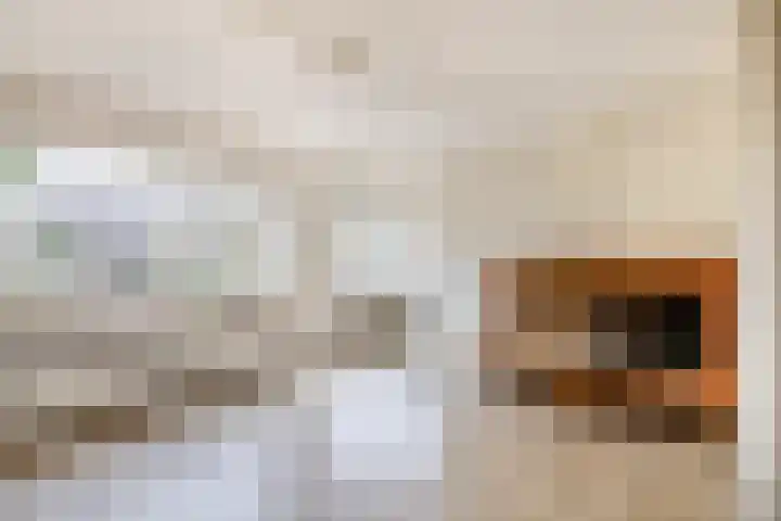 Dag Hammarskjöldlaan 20 Hellevoetsluis thumbnail 9