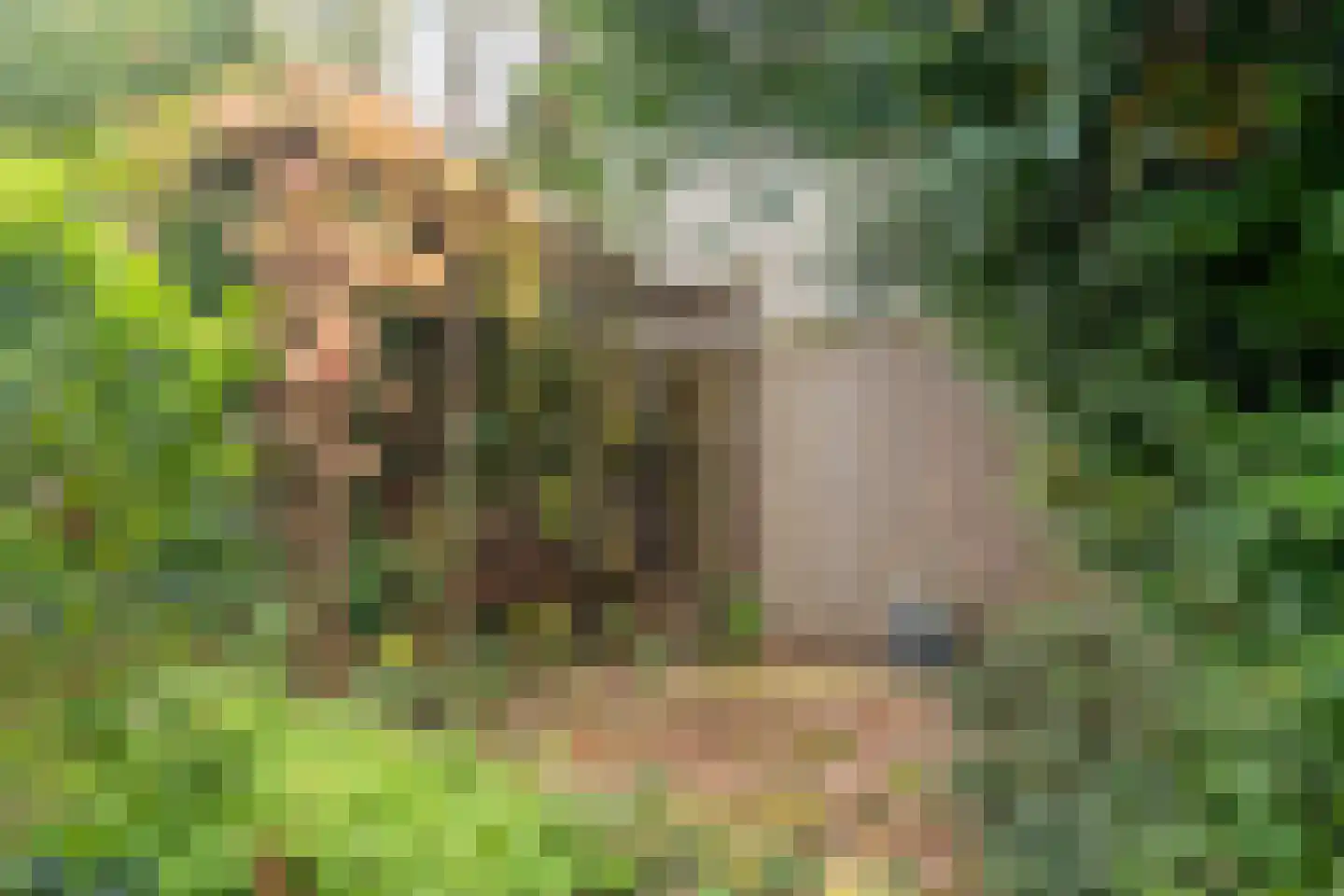 Dag Hammarskjöldlaan 207 Hellevoetsluis thumbnail 34