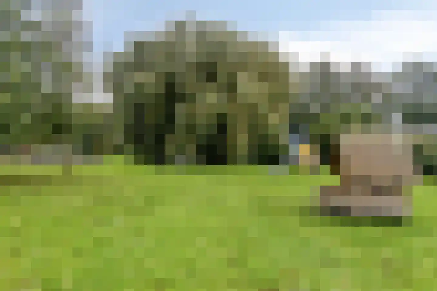 Dag Hammarskjöldlaan 207 Hellevoetsluis thumbnail 40