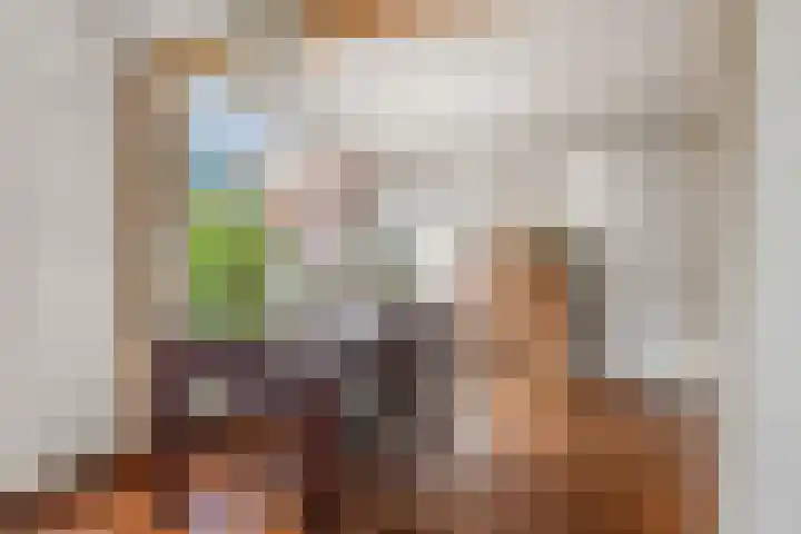 Dag Hammarskjöldlaan 36 Castricum thumbnail 11