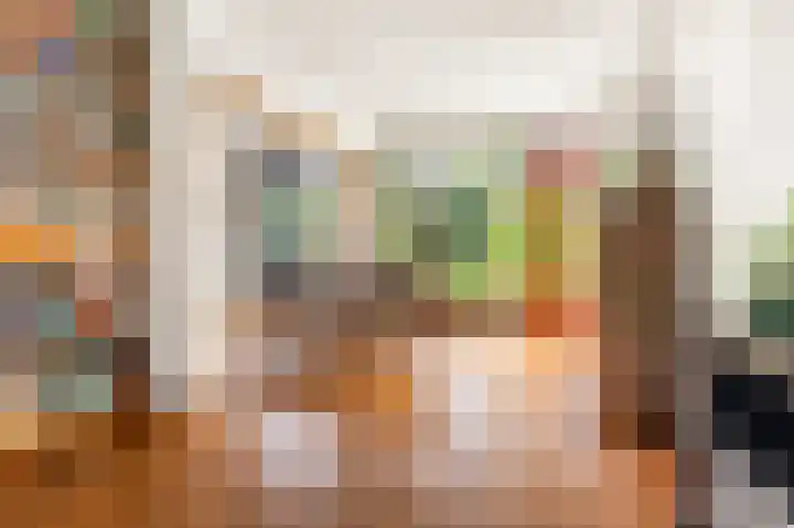 Dag Hammarskjöldlaan 36 Castricum thumbnail 16