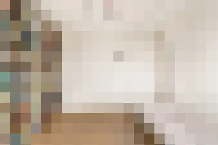 Dag Hammarskjöldlaan 36 Castricum thumbnail 22