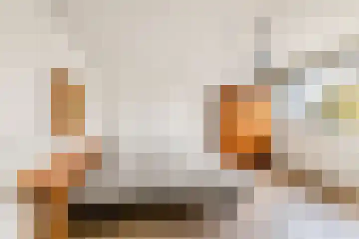Dag Hammarskjöldlaan 36 Castricum thumbnail 25