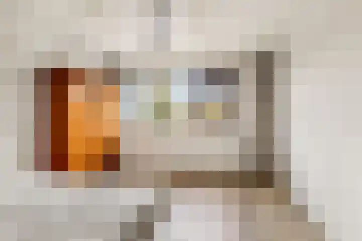 Dag Hammarskjöldlaan 36 Castricum thumbnail 26