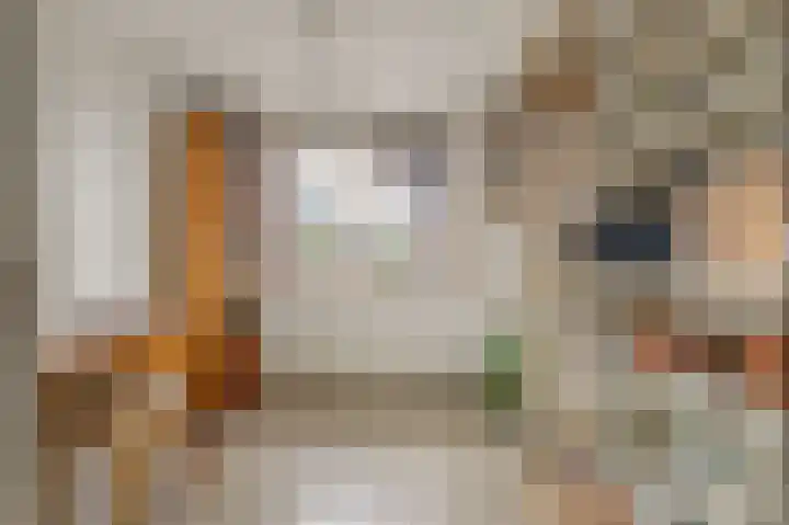 Dag Hammarskjöldlaan 36 Castricum thumbnail 28
