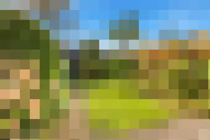 Dag Hammarskjöldlaan 36 Castricum thumbnail 36