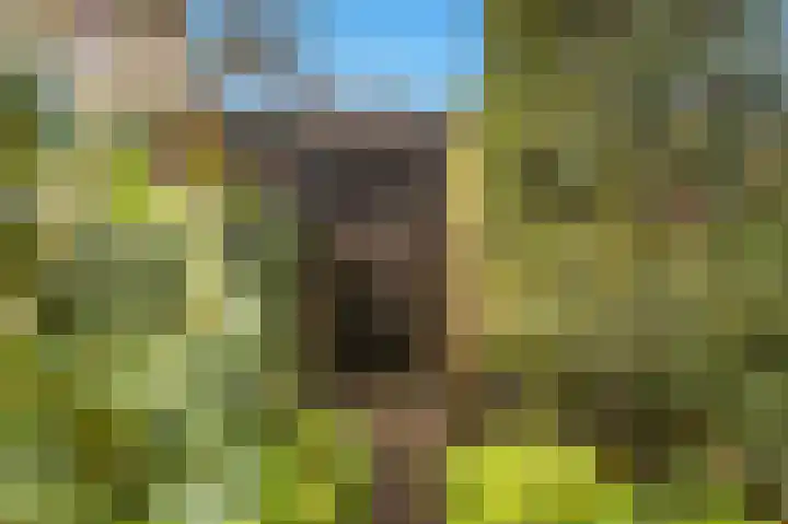 Dag Hammarskjöldlaan 36 Castricum thumbnail 37