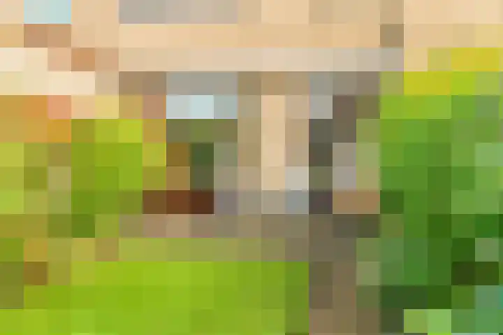 Dag Hammarskjöldlaan 36 Castricum thumbnail 38