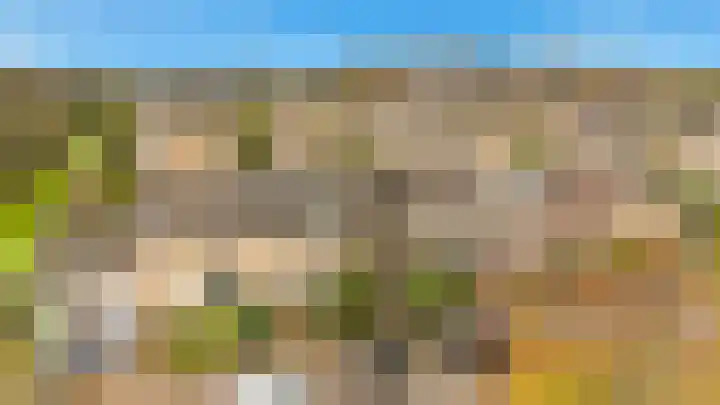 Dag Hammarskjöldlaan 36 Castricum thumbnail 41