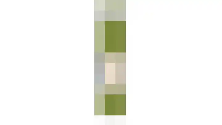 Dag Hammarskjöldlaan 36 Castricum thumbnail 46