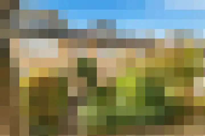 Dag Hammarskjöldlaan 36 Castricum thumbnail 5