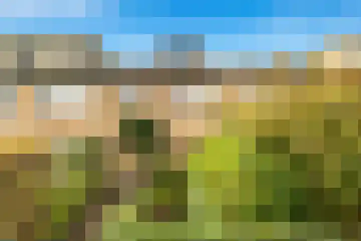 Dag Hammarskjöldlaan 36 Castricum thumbnail 6