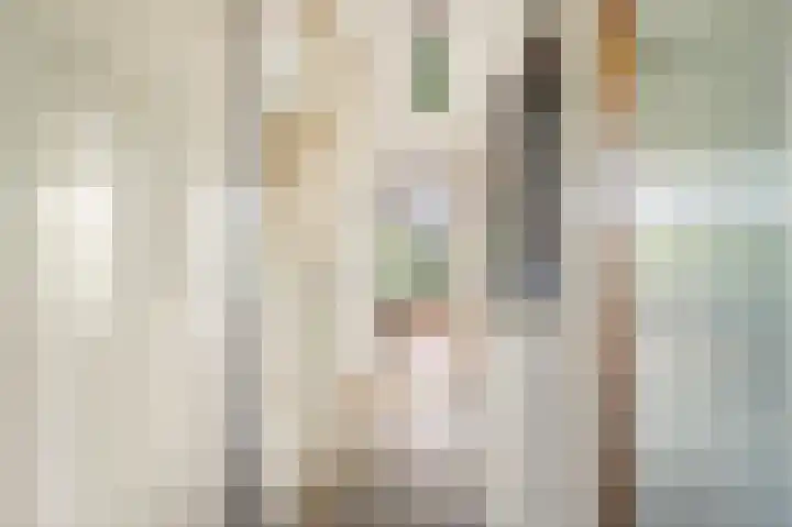 Dag Hammarskjöldlaan 36 Castricum thumbnail 8