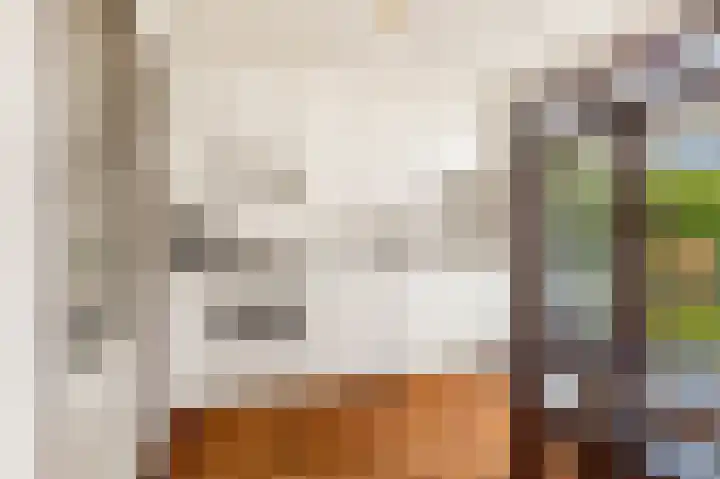 Dag Hammarskjöldlaan 36 Castricum thumbnail 9