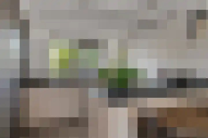 Dag Hammarskjöldlaan 44 Hellevoetsluis thumbnail 11