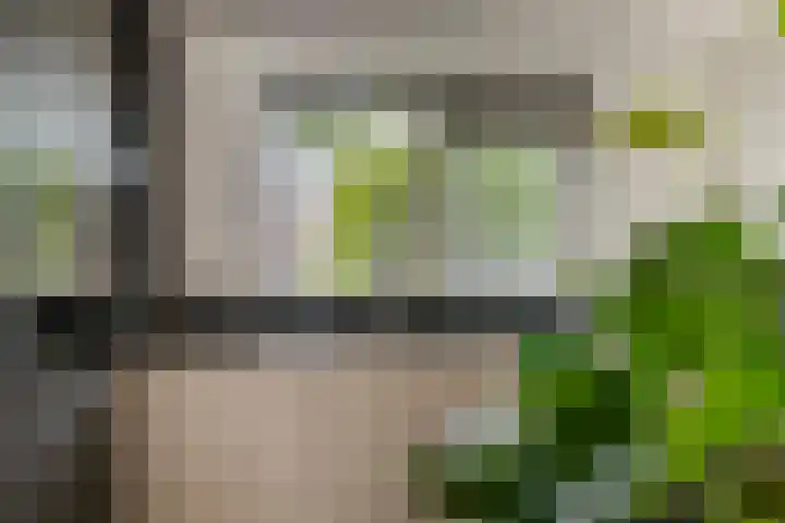 Dag Hammarskjöldlaan 44 Hellevoetsluis thumbnail 12