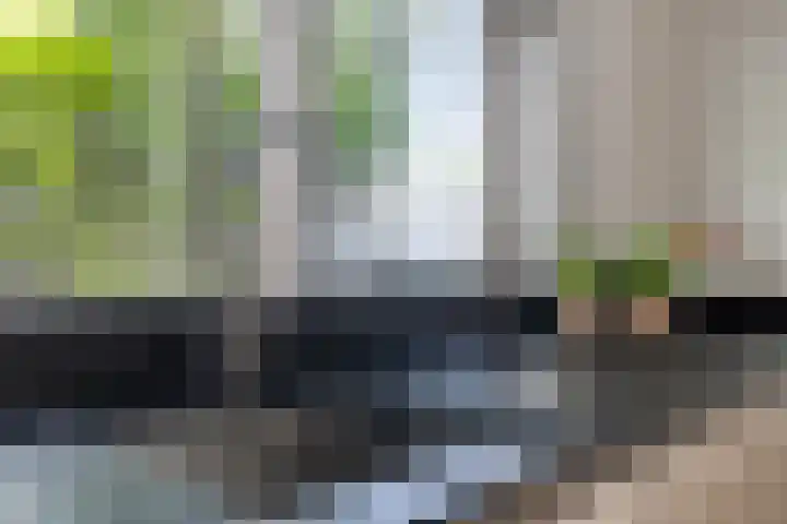Dag Hammarskjöldlaan 44 Hellevoetsluis thumbnail 13