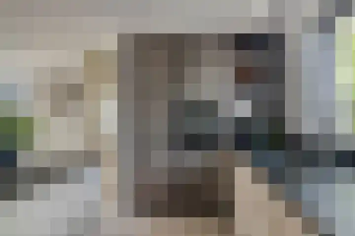 Dag Hammarskjöldlaan 44 Hellevoetsluis thumbnail 14