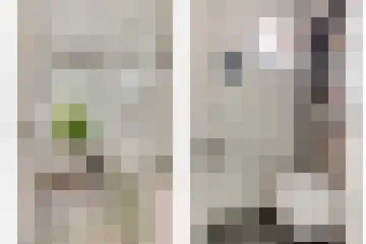 Dag Hammarskjöldlaan 44 Hellevoetsluis thumbnail 17